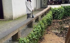 国语自产拍在线视视频